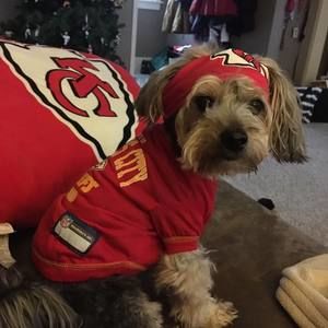 Meet your Posher, Jill